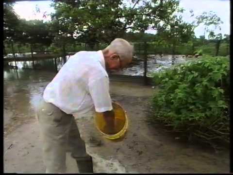 Documentaire uit 1995 met daarin Boeroes geïnterviewd