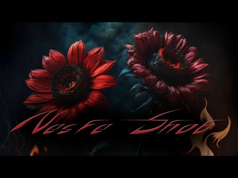 Nesfe Shab - Arash Saretan Feat. Parsa