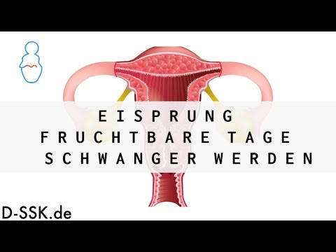 Porno Analsex Auswahl Forum Geschlechtaufstellungsort kostenlos anmelden