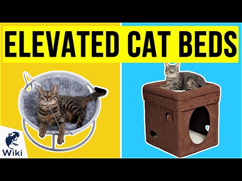 10 Best Elevated Cat Beds 2020
