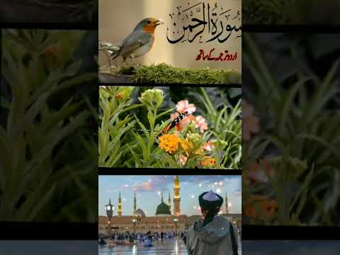Surah Rahman with Urdu translation |Surah Rehman