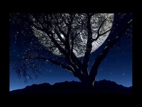 Elyas & Taha - Gece Mavisi (Samet Koç Cover)