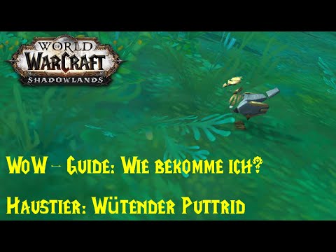 WoW-Guide: Wie bekomme ich das Haustier Wütender Puttrid?
