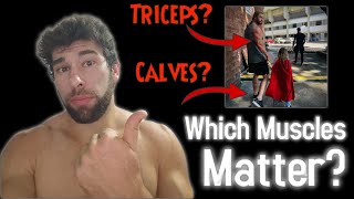 Which MUSCLES Make You Look JACKED? (Tier List)