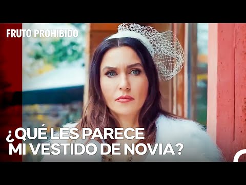 Ender Esta Vez Se Casó Con Alihan -Fruto Prohibido Capitulo 69