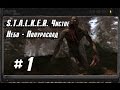 STALKER Чистое Небо - Полураспад #1 