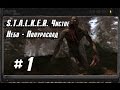 STALKER Чистое Небо - Полураспад #1 