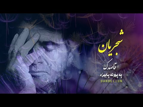 Shajarian Ghasedak (Dandelion) - شجریان - قاصدك - پەپوولەپاییزە