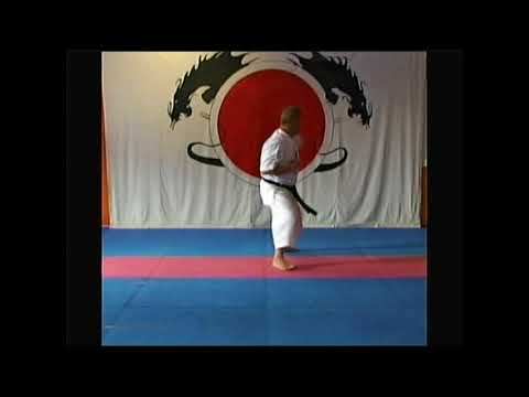 Shito-Ryu Pinan Kata by K. W Loh