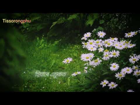 Tumar Hahitie//Tonmoy Saikia//Assamese song 2024 🥰🥰