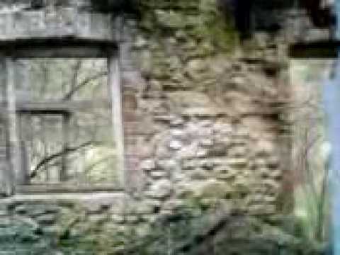 opuszczony dom przy lesie