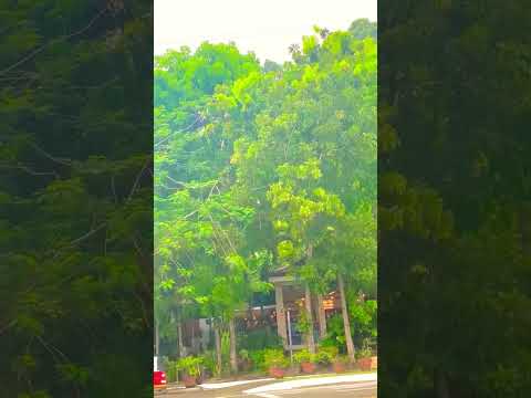 🍀#relaxing #views #teatime