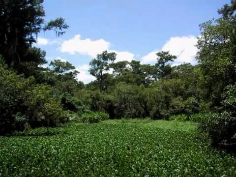 Virginia Nascimento - Please Time Go By