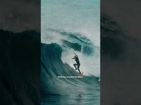 PATAGONIA, INC.