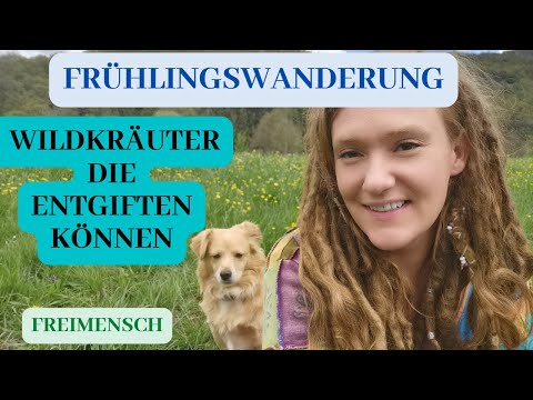 Frühllingswanderung - essbare entgiftende Wildpflanzen