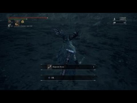 Bloodborne™ Сирота коса