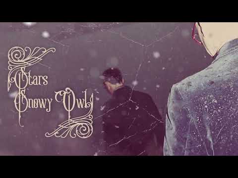 Video thumbnail for Snowy Owl