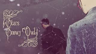 Snowy Owl Music Video