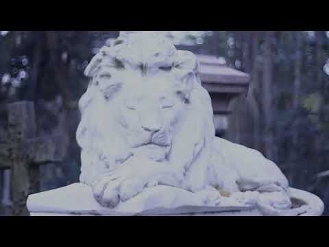 Le Flemm · Fernando Sanz & Macs