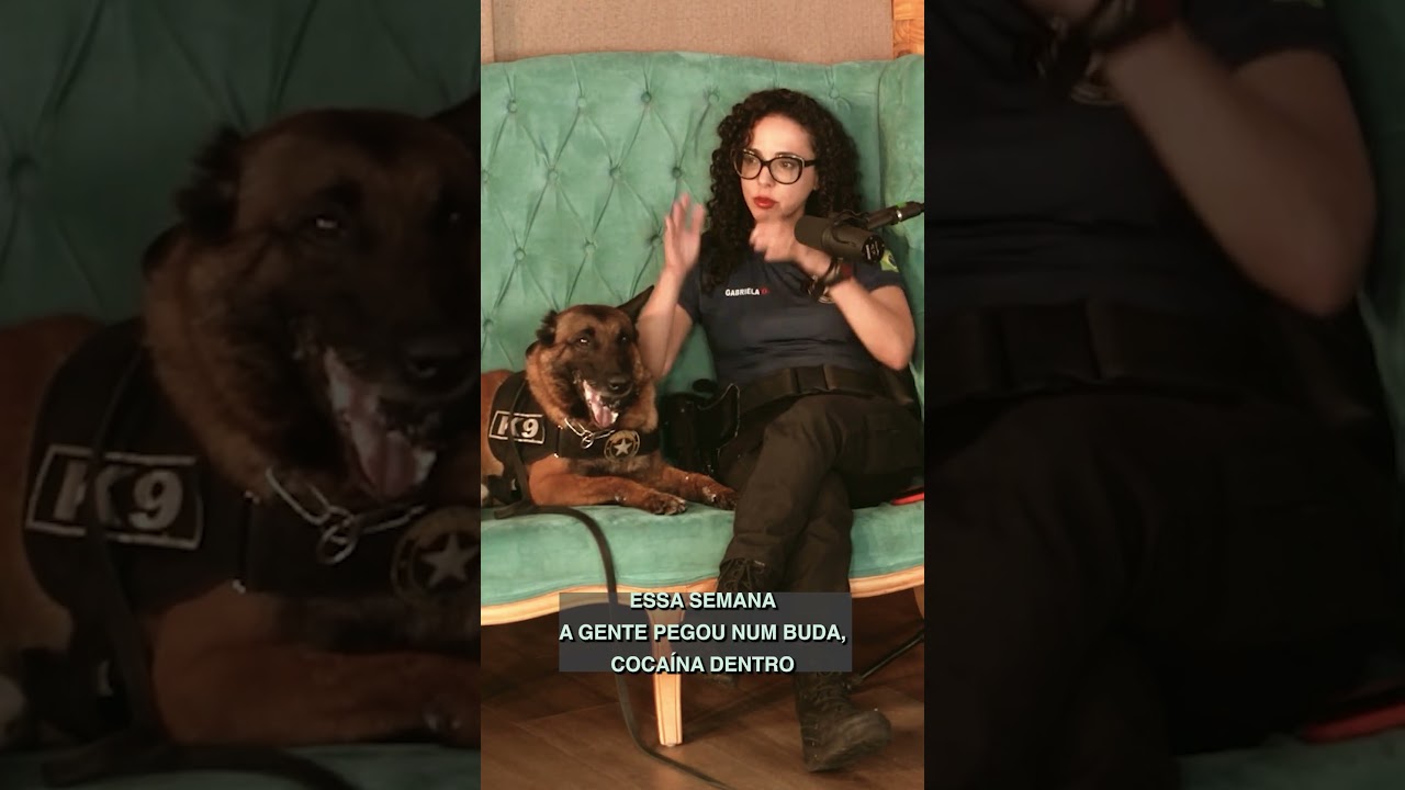 #shorts #podcast #cafecomnaf #receitafederal Criminals are creative in the ways they hide!