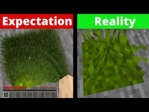 Realistic Minecraft | Expectation VS Reality