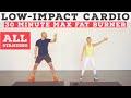 Low Impact Cardio Workout For ALL Fitness Levels No Equipment At Home