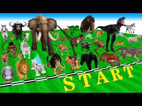 53 Incredible Animals Race vs Dinosaurs vs Prehistoric Mammals Speed Race Run: Who Will Win? ARBS