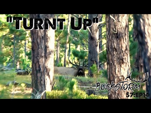 TURNT UP! Archery Elk Hunting Brotherhood Part 2! S7:EP14