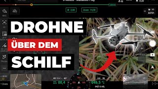 Mit DROHNE über MISCANTHUS? - M4T Wärmebild über dem SCHILF!