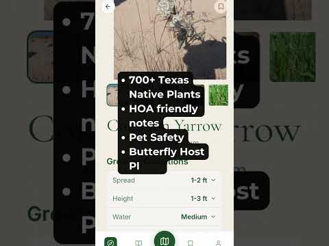 Pollinator Patch: Yard Rebates video thumbnail