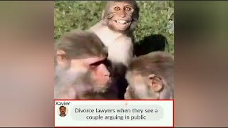 Hilarious Divorce Memes | Meme Compilation