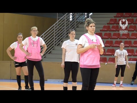 Újabb erőpróba! Moyra-Budaörs Handball – NEKA hazai beharangozó