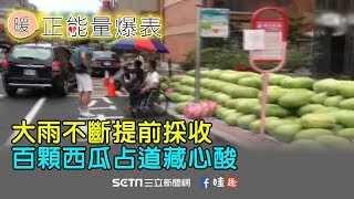 大雨不斷提前採收　百顆西瓜占道藏心酸
