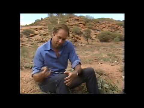 Wo es wirklich Manna vom Himmel gibt