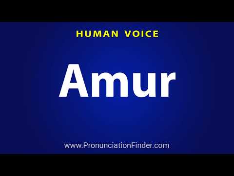 How To Pronounce Amur