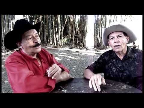 Choro Da Cachoeira - Zé Venâncio & Tião Mineiro