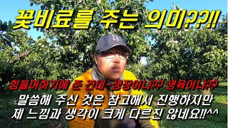 꽃비료에 대한 또 다른 이견?!! : 생장이냐?? 생육이냐??