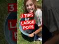 3 Tips For Planting Large Pots Greenthumb Planthack Pottedplants Plantlover Planttherapy