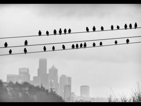 "Organized Sound" - Deep House - Mixed and Complied By: ~Deejay~K*SPIRIT