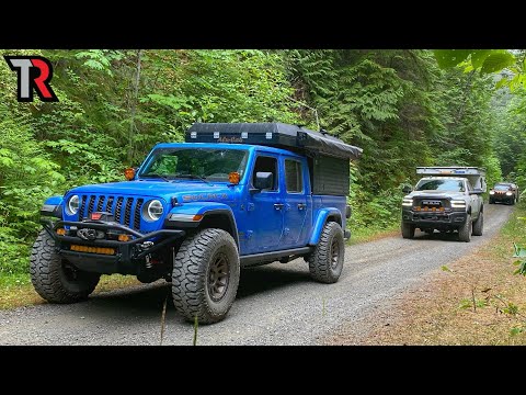 Deep in the Rain Forest of Washington's Olympic Peninsula