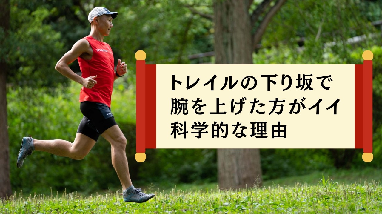 トレイルの下り坂で腕を上げた方がイイ科学的な理由