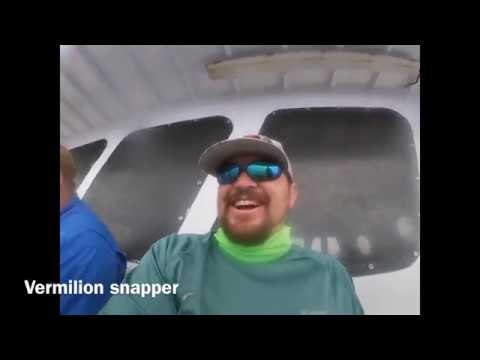 Crazy Sister Marina head boat: New inlet princess