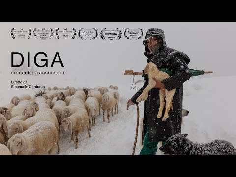 Diga, cronache transumanti