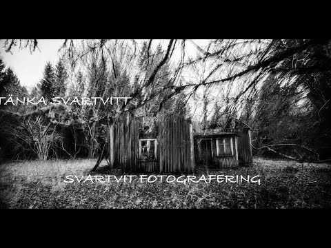 Svartvitt Foto: Tekniker och Stil för Nybörjare