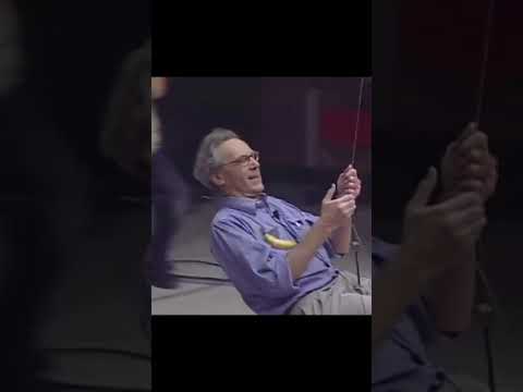 Walter Lewin demonstriert Unabhängigkeit von der Masse