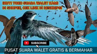 Download lagu Live Stream SUARA WALET TERBAIK TAHUN 2022 - Full 3 JAM mp3 Download lagu Live Stream SUARA WALET TERBAIK TAHUN 2022 - Full 3 JAM mp3