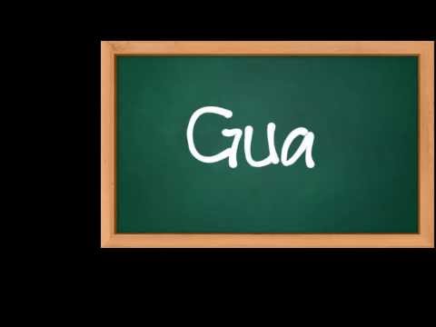 ECKO SHOW - "BODO AMAT" FEAT. YOUNG LEX [ VIDEO LYRIC ]  PROD BY Mr_STREZZO