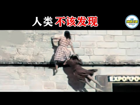 貓死