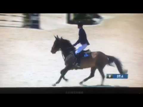 Hidalgo VG - winner 1.55m GCT Shanghai