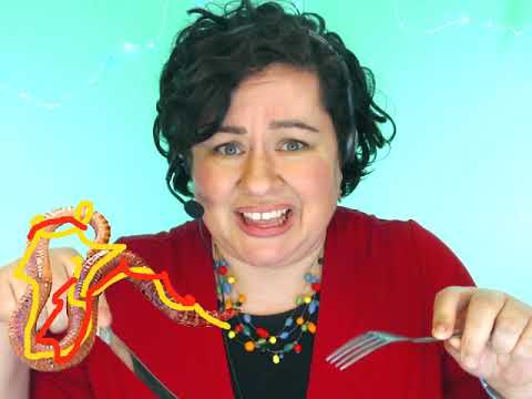 Bright Learners: How to Eat Fried Worms, Chapters 5-7